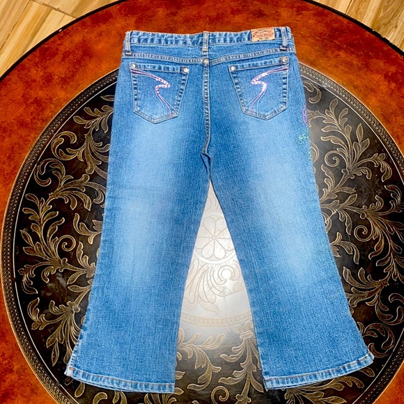 Paris Blues Embroidery Girls Denim Blue Jeans Ramie/Cotton Blend Size 12 - Picture 3 of 14